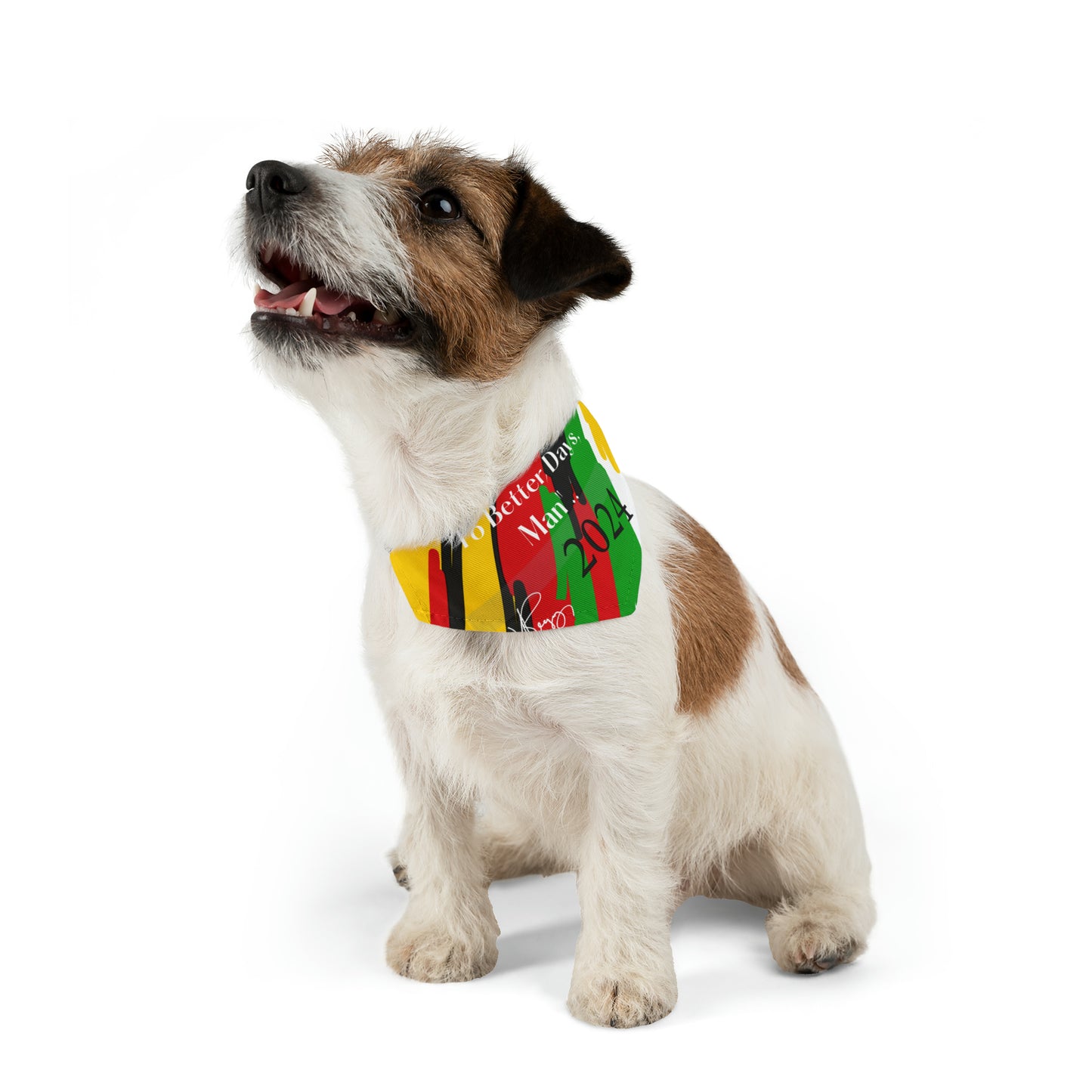 "TPPG Pet Bandana Collar Collection"