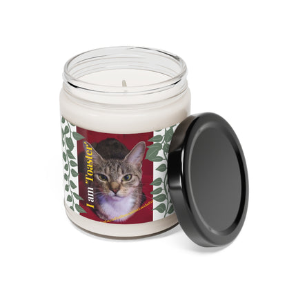 Scented (Pet Design) Soy Candle - 9oz