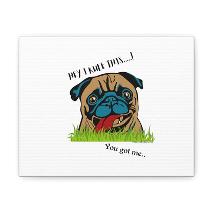 From our "TPPG Brand Pet Collection" ('HEY, I Rule This..")- Canvas Gallery Wraps - on White