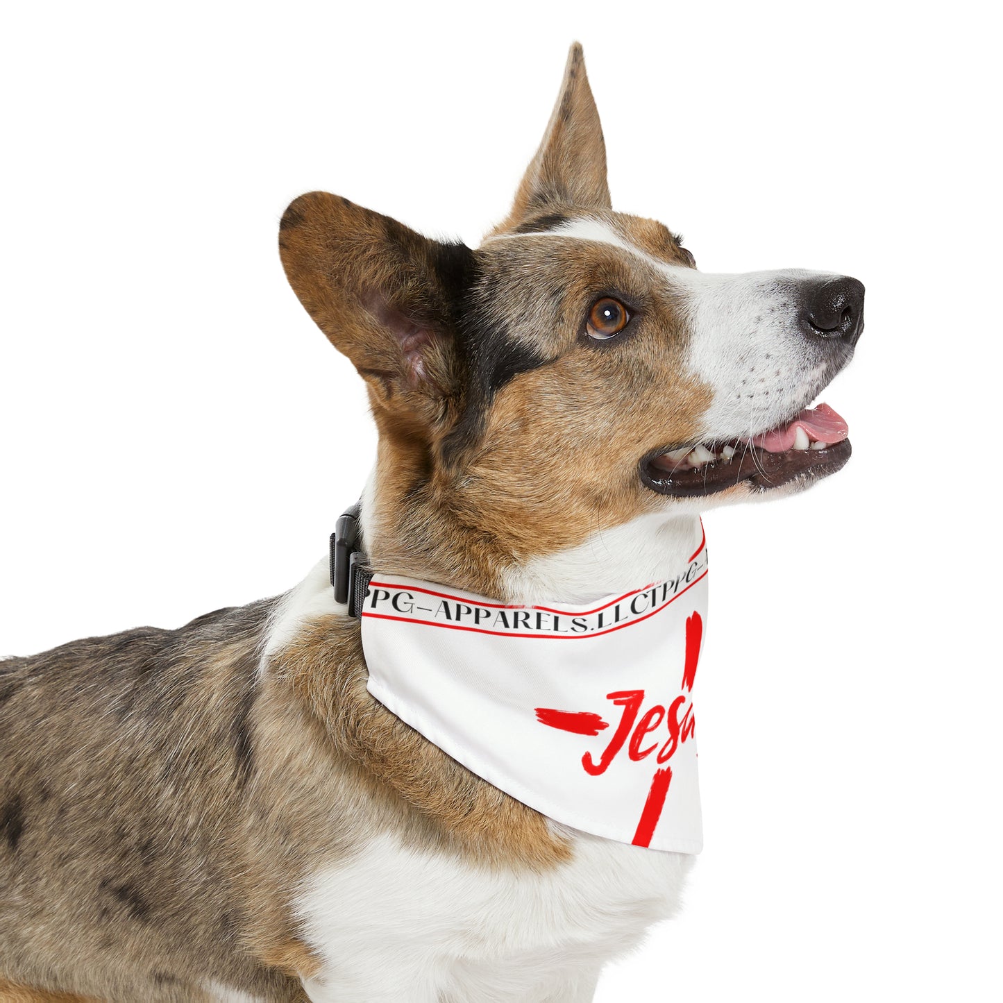 Pet (Faithfull) Bandana Collar-"TPPG Pet Collection"-