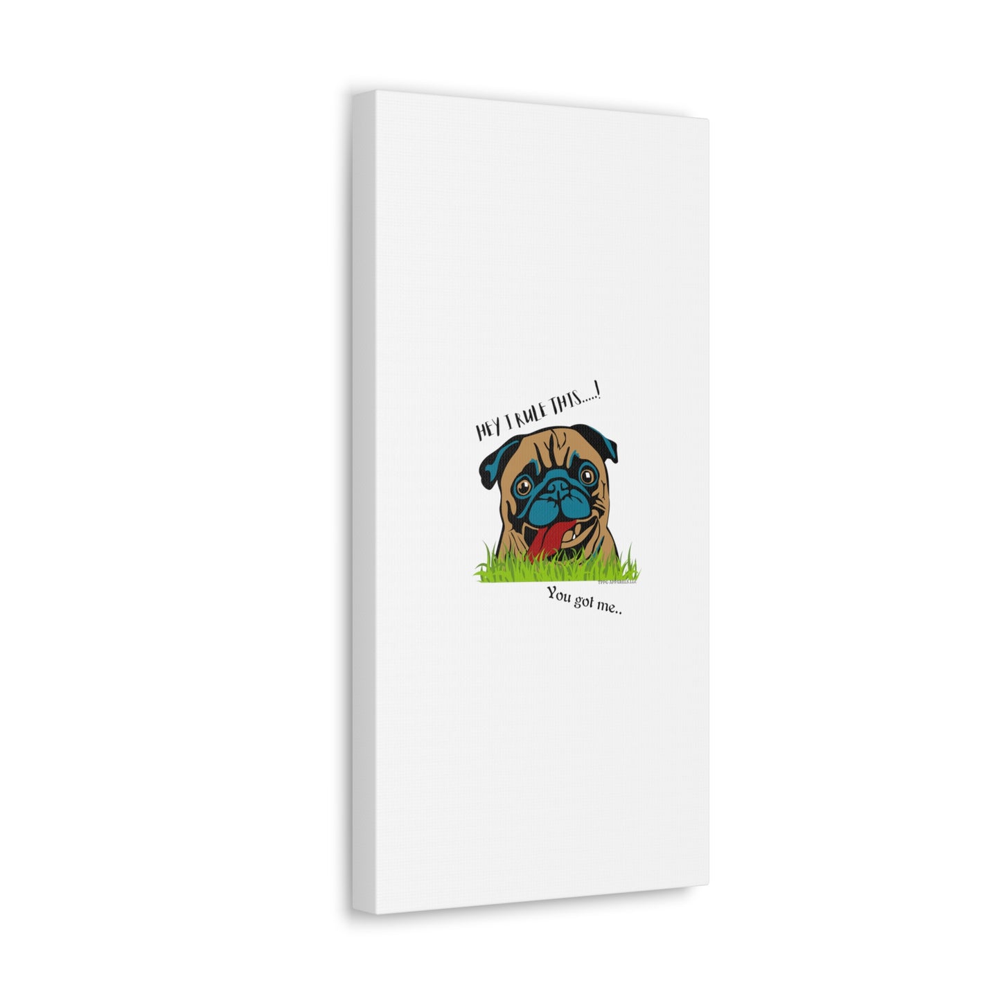 From our "TPPG Brand Pet Collection" ('HEY, I Rule This..")- Canvas Gallery Wraps - on White