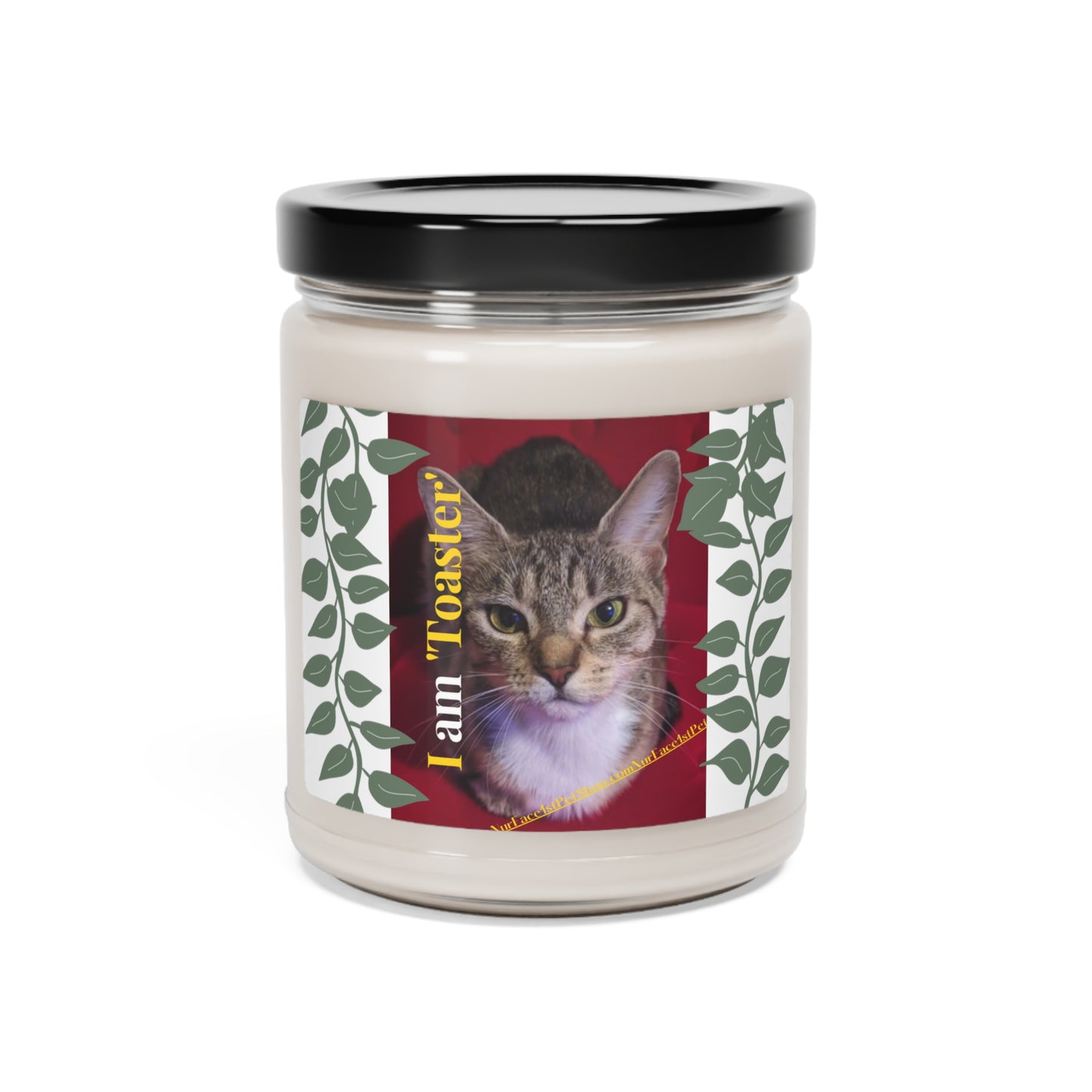 Scented (Pet Design) Soy Candle - 9oz