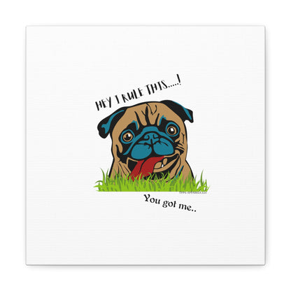 From our "TPPG Brand Pet Collection" ('HEY, I Rule This..")- Canvas Gallery Wraps - on White