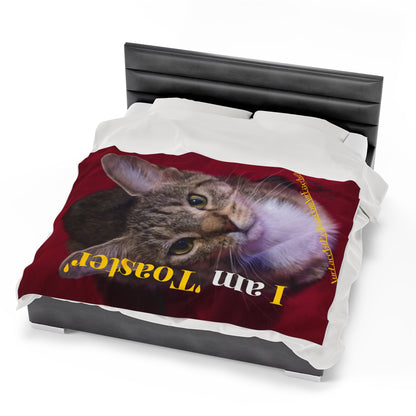 Velveteen "Pet" Plush Throw/ Blanket