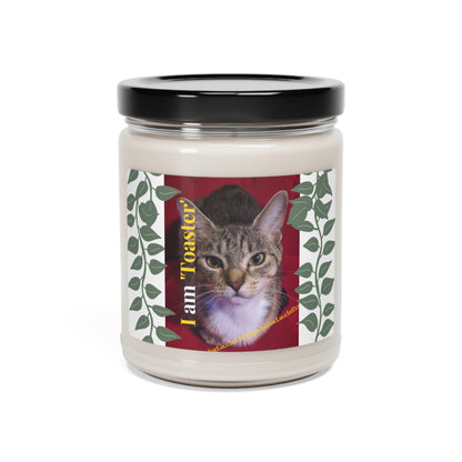 Scented (Pet Design) Soy Candle - 9oz