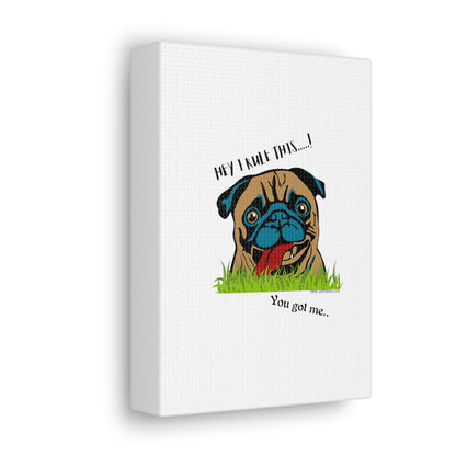 From our "TPPG Brand Pet Collection" ('HEY, I Rule This..")- Canvas Gallery Wraps - on White