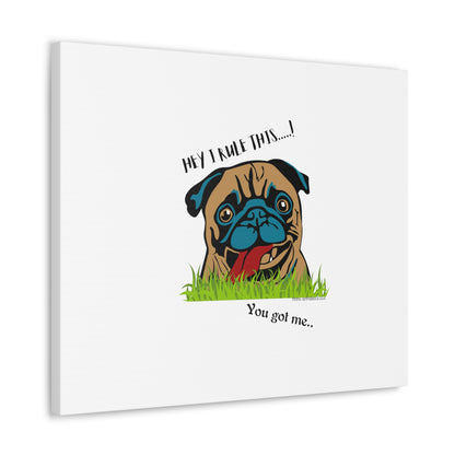 From our "TPPG Brand Pet Collection" ('HEY, I Rule This..")- Canvas Gallery Wraps - on White