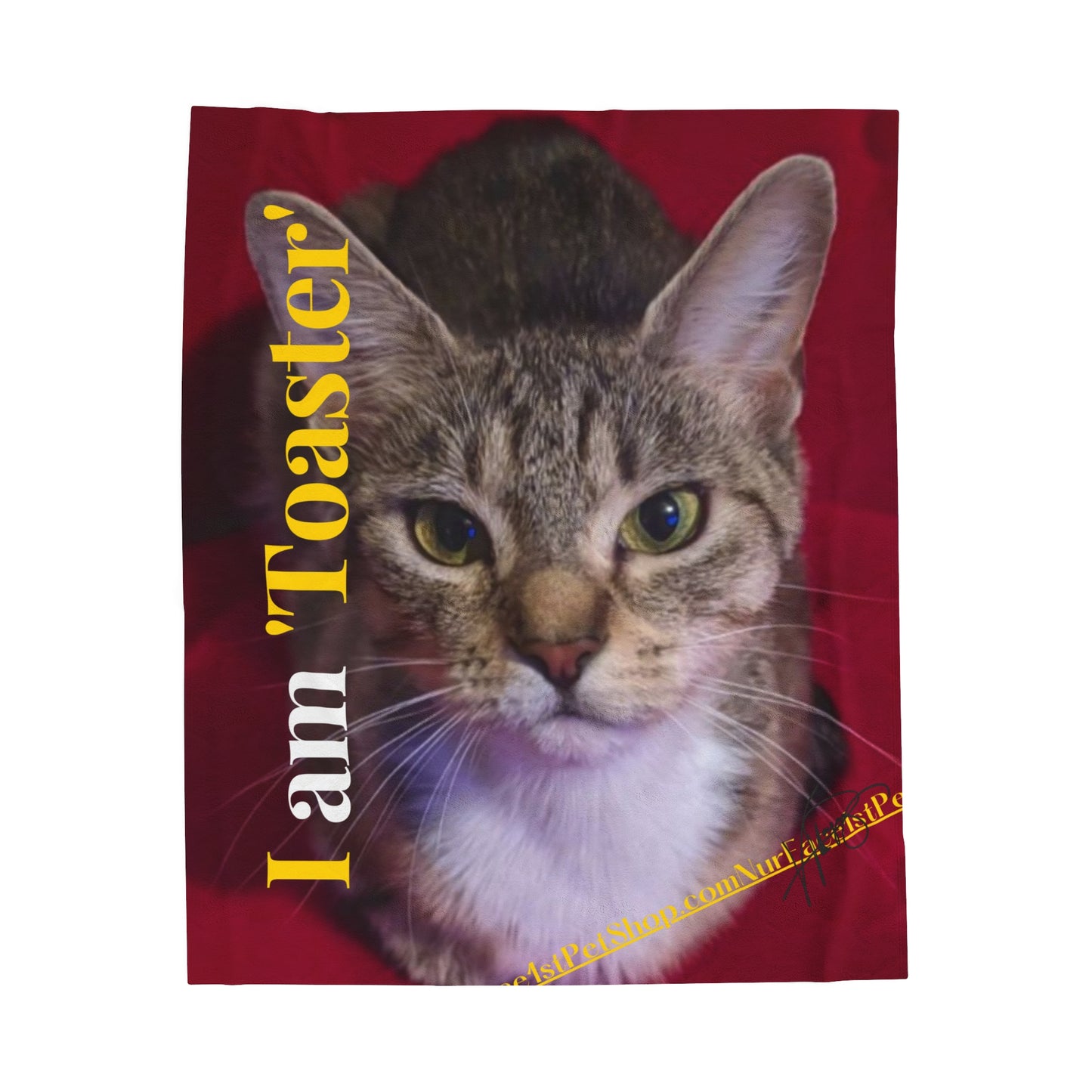 Velveteen "Pet" Plush Throw/ Blanket