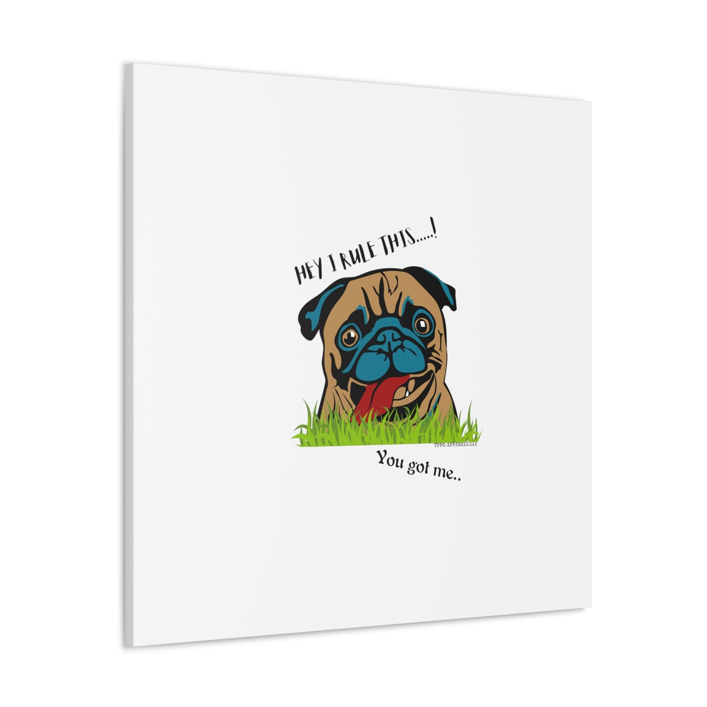 From our "TPPG Brand Pet Collection" ('HEY, I Rule This..")- Canvas Gallery Wraps - on White