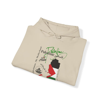 "Palestine" Style Design Print Unisex Heavy Blend™ Hooded Sweatshirt - 6 sizes to chose from