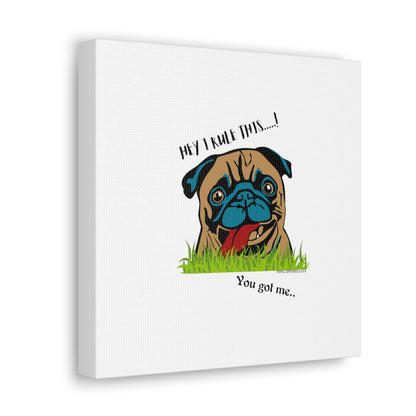 From our "TPPG Brand Pet Collection" ('HEY, I Rule This..")- Canvas Gallery Wraps - on White